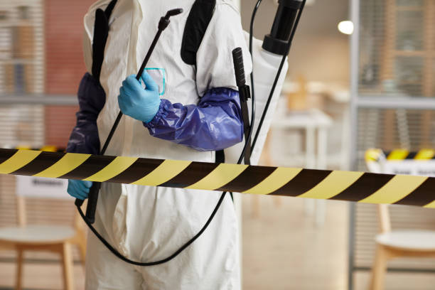 Professional Biohazard technician working in Junction City, OR